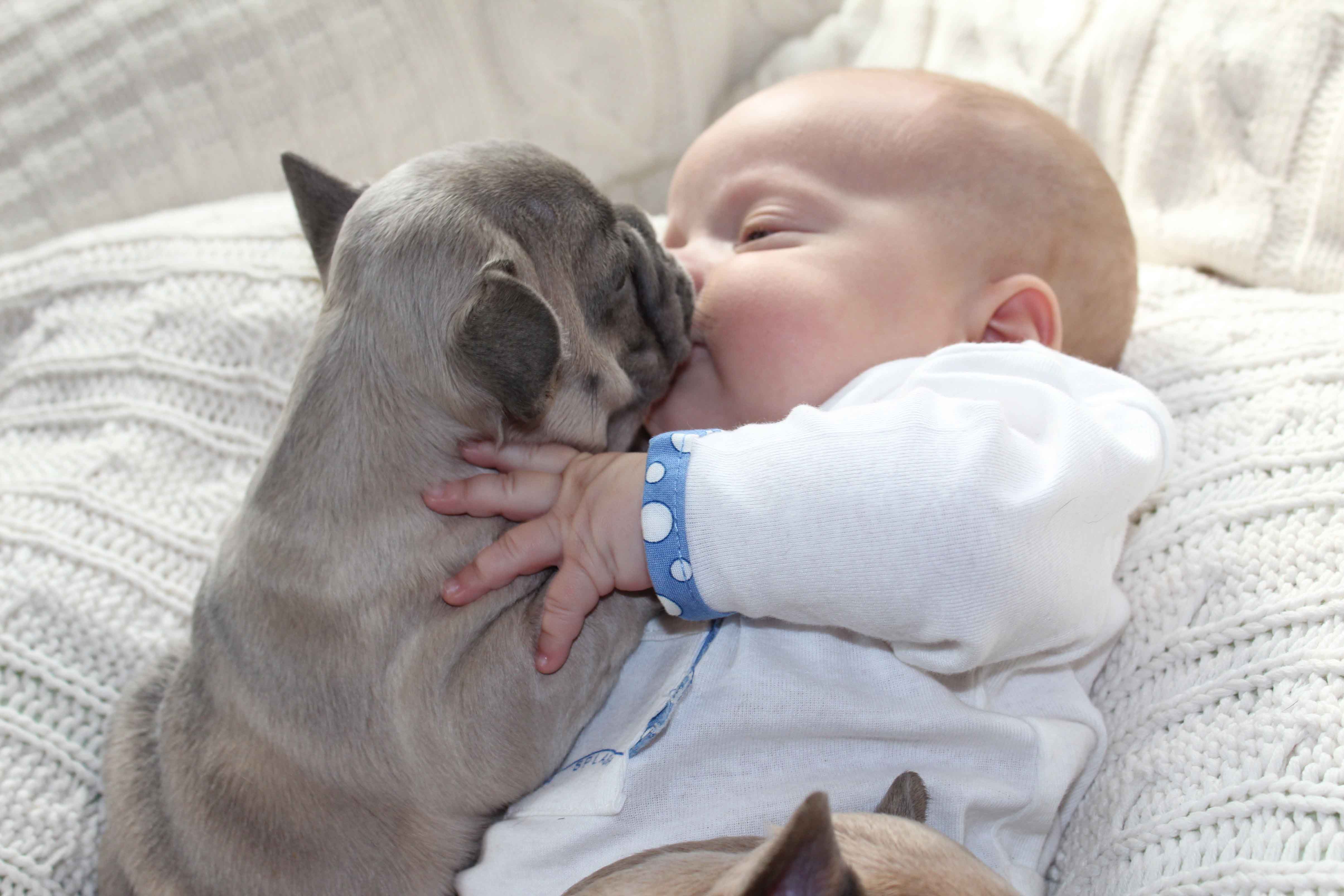 Cutest Pictures Of Puppies And Baby