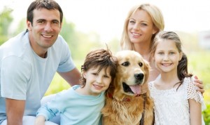 собака и семья