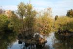 2V0K3149.JPG