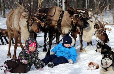 Упряжка северных оленей в Москве