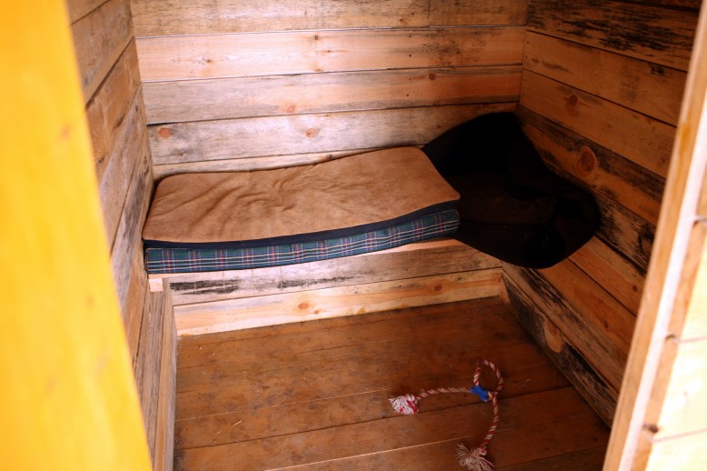 ���� ������