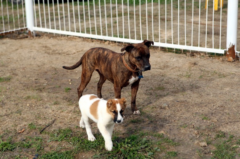 ���� ������