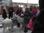dscf3865.jpg