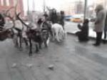 dscf3990.jpg