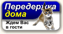 Передержка животных в Москве